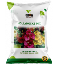 Grow Delight Imported Hollyhocks Mix 100 Seeds Grow Delight Imported Hollyhocks Mix 100 Seeds